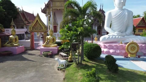 Scenic View of Thai Buddhist Temple with Giant White Buddha . Stock Footage 340449220
