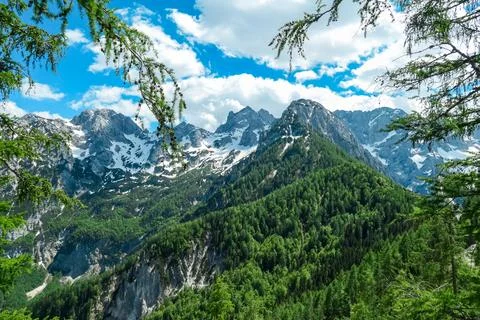 Scenic view through deciduous forest on the summit Jezerska Kocna in Kamnik.. Stock Photos