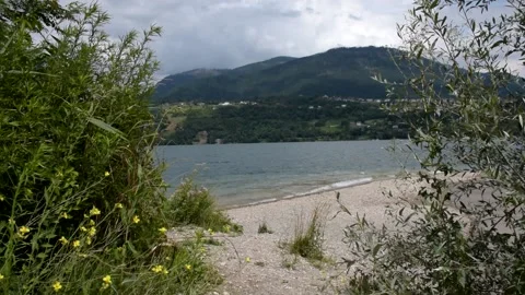 Scenic view through plants water Stock Footage 158305022