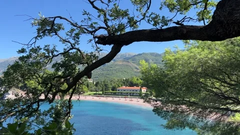 Scenic view through tree branches on beach Video stock 263551832