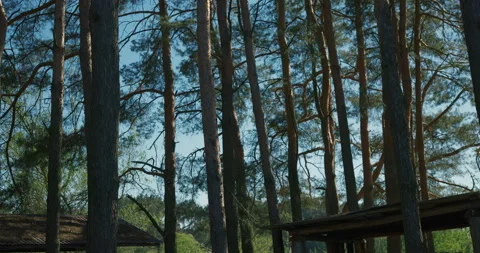 Scenic view of a tourist base with timber huts under a blue sky, audio included Stock-Footage 334670569