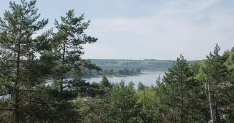 Scenic view of tranquil lake surrounded by lush green trees Stock Footage 316320922