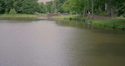 Scenic view of a tranquil pond surrounded by lush green trees and... Stock Footage 316914527