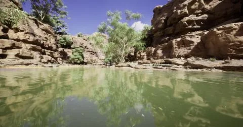 Scenic view of tranquil water reflecting cliffs and trees in a desert oasis Stock Illustration