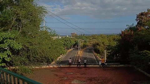 Scenic view of tree lined road in Mirador sur park Santo Domingo Vídeos de archivo 346245355