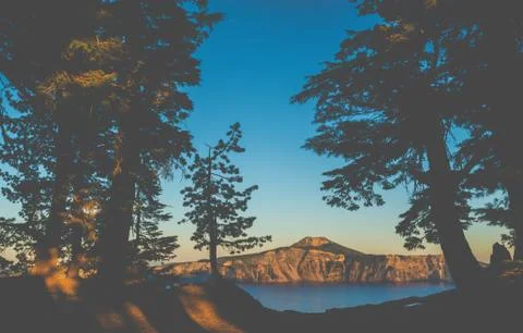 Scenic view of tree with sunset  light ,vintage style. Stock Photos