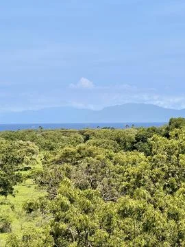 Scenic View of Trees and Distant Mountains. Bama Beach Baluran Situbondo Fotos Stock