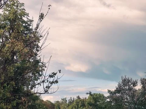 Scenic View of Trees Under a Cloudy Sky Stock Photos