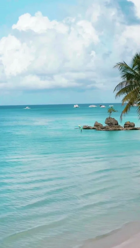 Scenic view of a tropical beach with crystal clear water and palm trees. Video stock 342573015