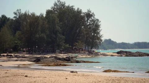 Scenic view of a tropical sandy beach with waves and green trees. 動画素材 336983036