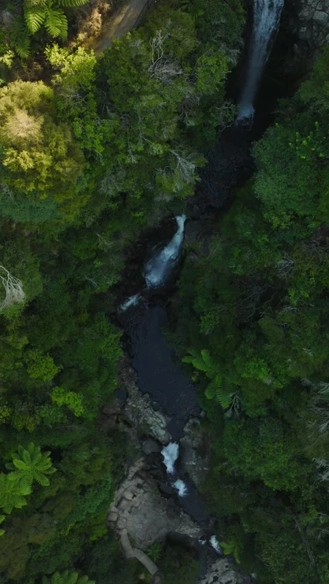 Scenic view of two small waterfalls located in the middle of rainforest lan.. Stock Footage 284652008