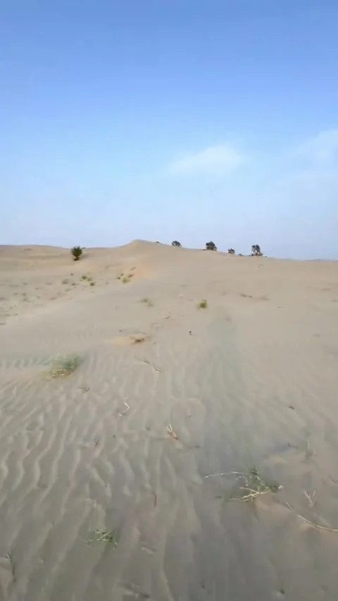 Scenic view of vast desert sand dunes with sparse vegetation Vídeo Stock 344922086