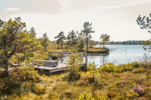 Scenic View Of a Viewing Platform. Stock Photos