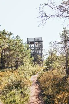 Scenic View Of a Viewing Tower Stock Photos