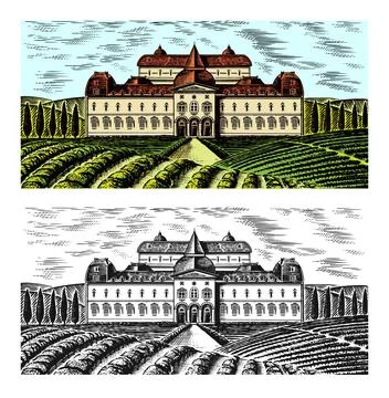 Scenic view of vineyards. Fields and hills of Tuscany. Panoramic vine plantation Stock Illustration
