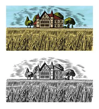 Scenic view of vineyards. Fields and hills of Tuscany. Panoramic vine plantation Stock Illustration