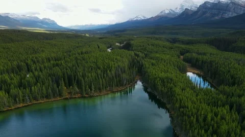 Scenic View of water in a mountain forest lake with pine trees. Stock Footage 200349140