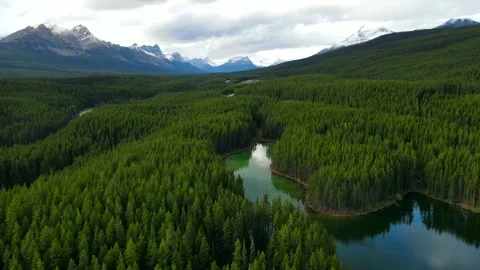 Scenic View of water in a mountain forest lake with pine trees. Stock Footage 200349736