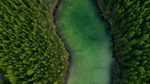 Scenic View of water in a mountain forest lake with pine trees. Stock Footage 200349854