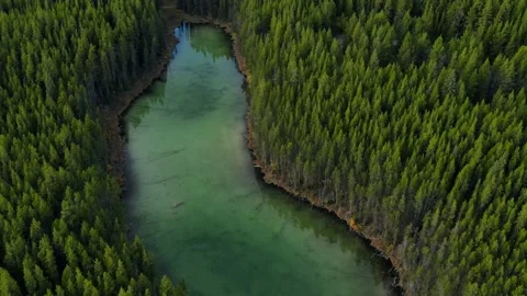 Scenic View of water in a mountain forest lake with pine trees. Stock Footage 200350394