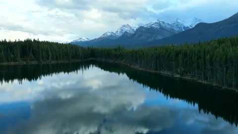 Scenic View of water in a mountain forest lake with pine trees Stock Footage 200351675