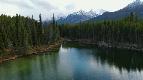 Scenic View of water in a mountain forest lake with pine trees. Stock Footage 224238265