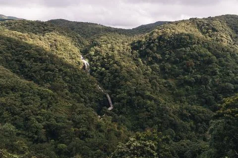 Scenic view of waterfall flowing through dense tropical rainforest Stockfoto's