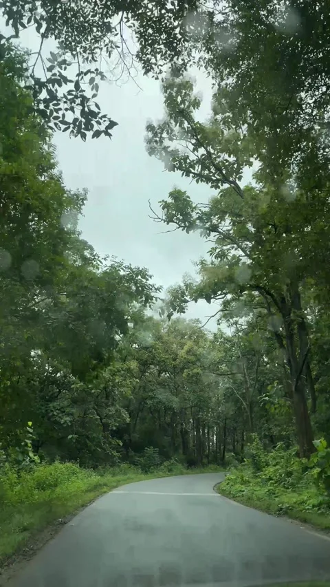 Scenic view while driving through the roads of western ghats during rainfall 스톡 동영상 313529104