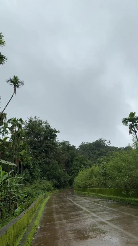 Scenic view while driving through the roads of western ghats during rainfall 스톡 동영상 313529106