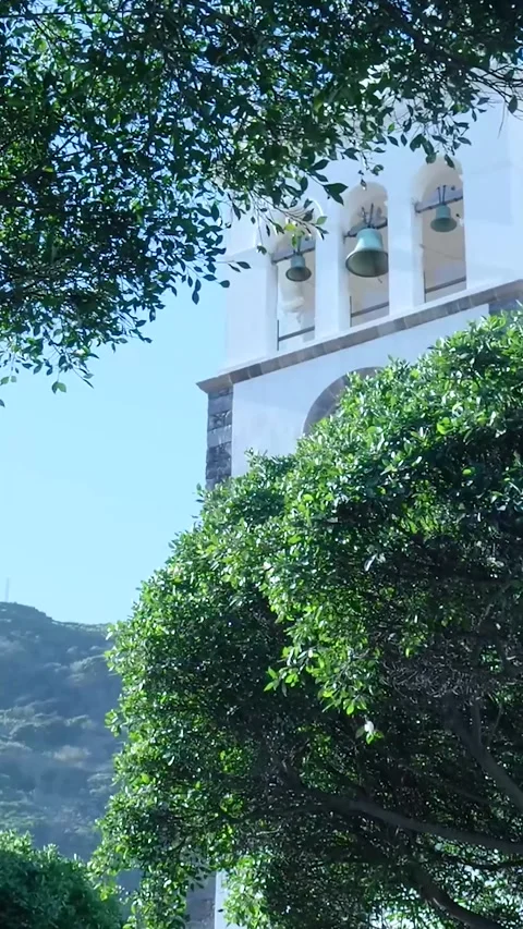 Scenic view of a white bell tower church among trees Stock Footage 329866231