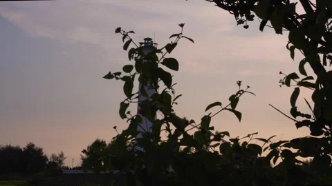 Scenic view of the white lighthouse from behind the bush Stock Footage 274653005