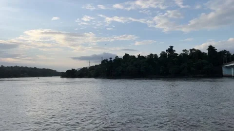 Scenic View of Wide River with Dense Green Forest Bank and Blue Sky Stock Footage 342546704