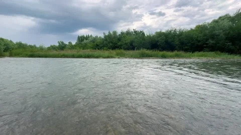 A scenic view of a wide river flowing past a lush green forest. Stock Footage 339092279
