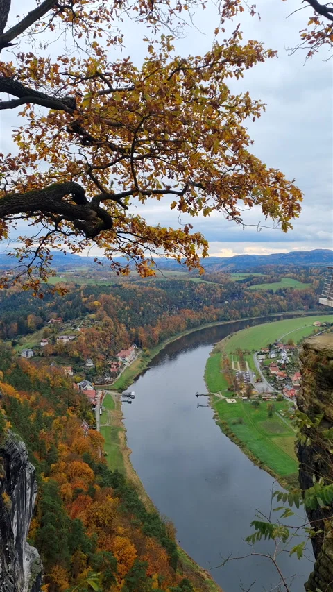 Scenic view of winding Elbe river framed by large autumn tree canopy. Stock-Footage 345555035
