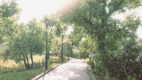 Scenic View of a Winding Stone Path through a Peaceful Green City Park Illustrazione stock