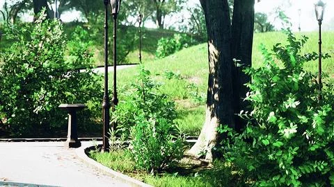 Scenic View of a Winding Stone Path through a Peaceful Green City Park Ilustración de archivo