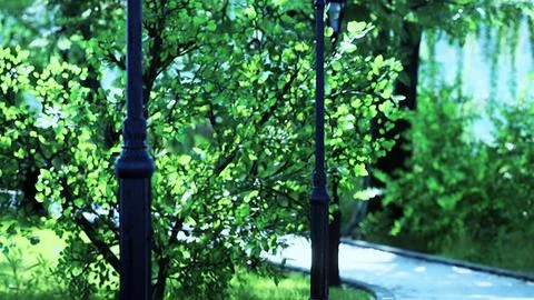 Scenic View of a Winding Stone Path through a Peaceful Green City Park Photos
