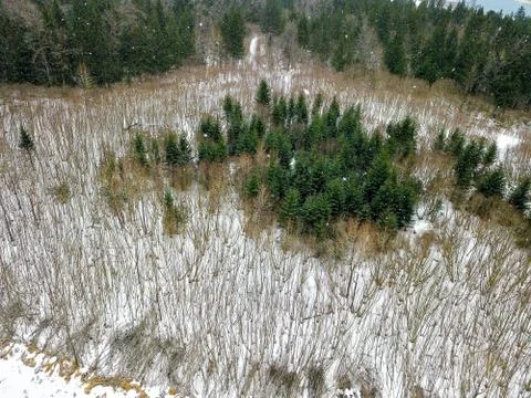 Scenic views in Alaska Stock Photos