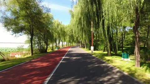 The scenic views along the park pathway 库存影片 344229297