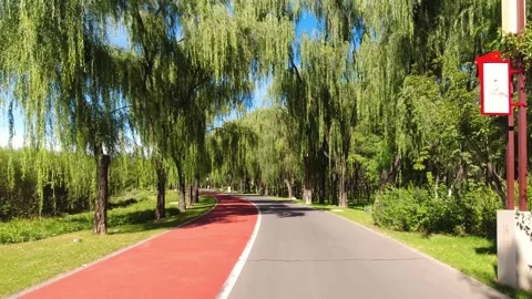 The scenic views along the park pathway Video stock 344229348