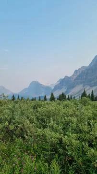 Scenic views on Icefields Parkway between Banff National Park and Jasper in A Stock Photos