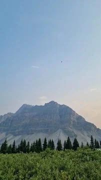 Scenic views on Icefields Parkway between Banff National Park and Jasper in A Foto stock
