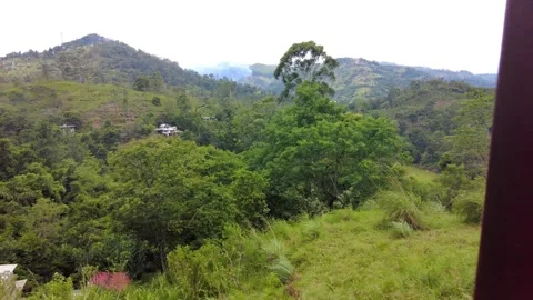 Scenic views of the pristine forests and valleys of Sri Lanka Stock Footage 315337033
