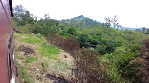 Scenic views of the pristine forests and valleys of Sri Lanka Stock Footage 315337053