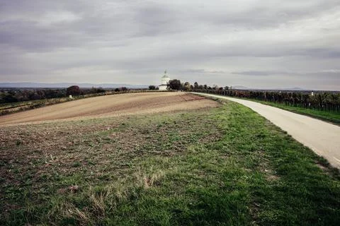 Scenic vineyard path with distant building Stock Photos