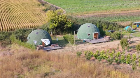 Scenic Vineyard Pools in Pichidegua in the commune of pichidegua, province of Vídeos de archivo 332684883
