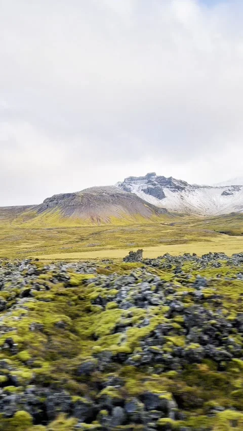 Scenic volcanic landscape with lava fields, green grasslands  in West and North 動画素材 320150484