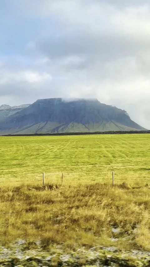 Scenic volcanic landscape with lava fields, green grasslands  in West and North 動画素材 320279541