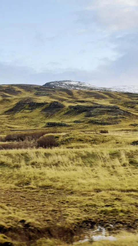 Scenic volcanic landscape with lava fields, green grasslands  in West and North 動画素材 320510309