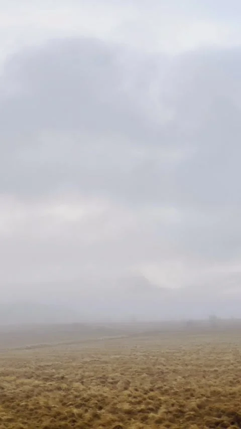 Scenic volcanic landscape with lava fields, green grasslands  in West and North 動画素材 320511232